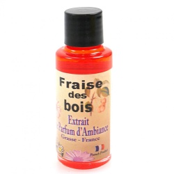 thival_concept_fraise_des_bois